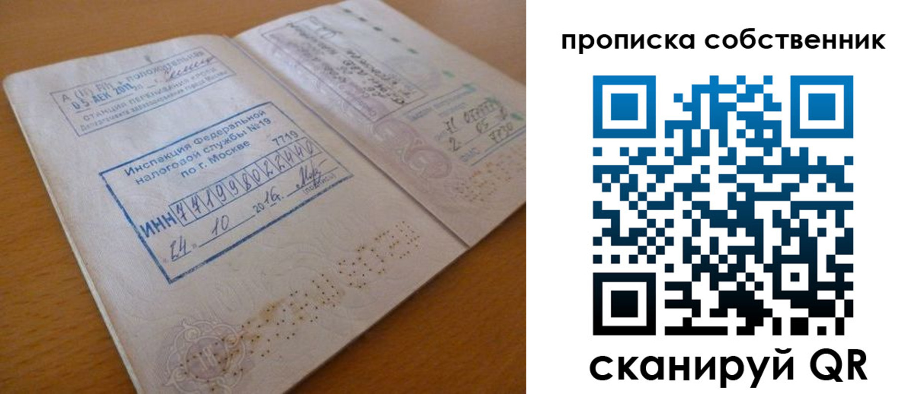 прописка для школы в Курске
