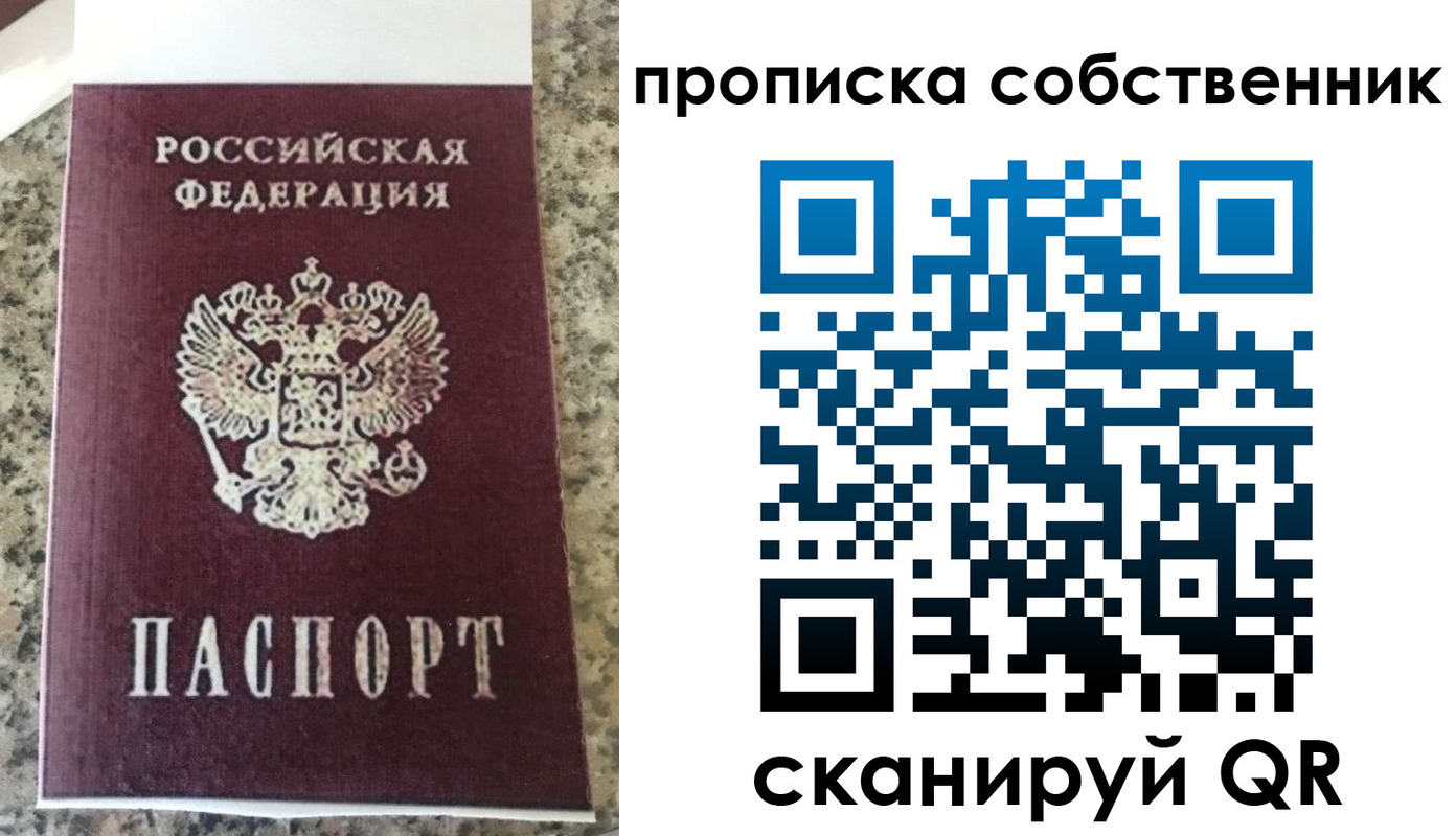 прописка для школы в Курске